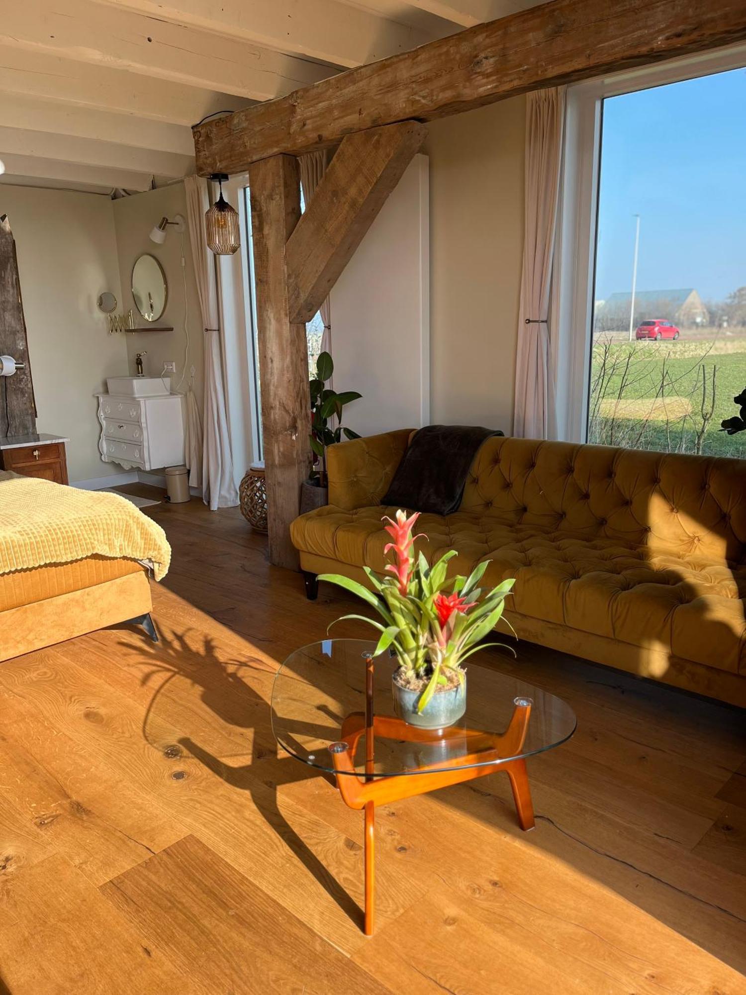 B&B De Vrijbuiter De Cocksdorp  Eksteriør billede